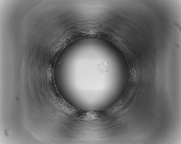 X0000099540612200805301502