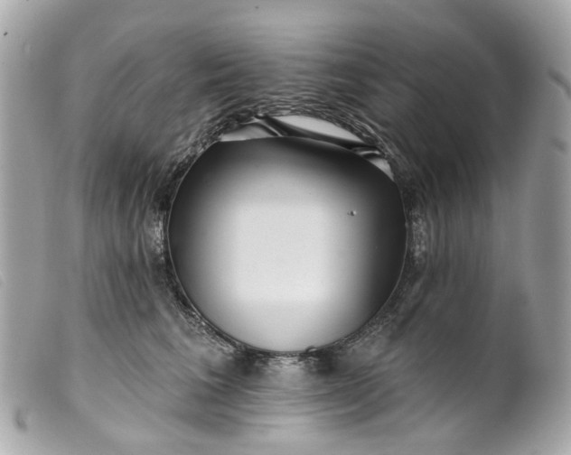 X0000099540613200805301502