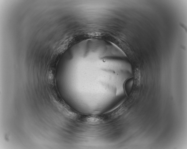 X0000099540614200805301502