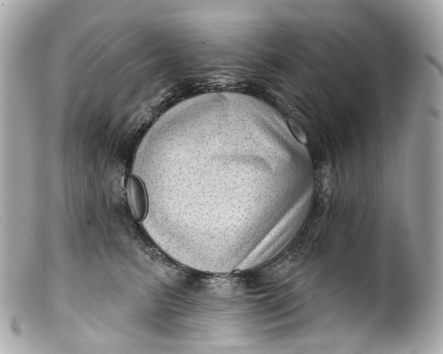 X0000099540615200805301502