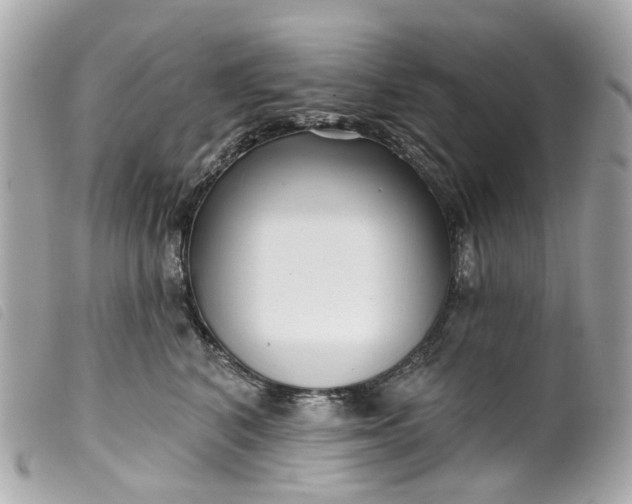 X0000099540616200805301502