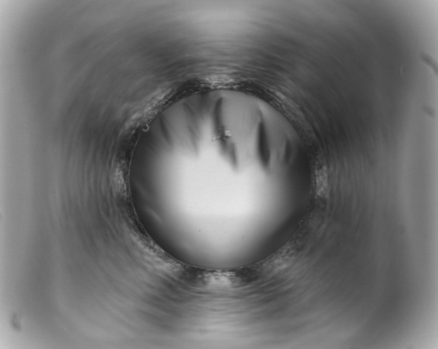 X0000099540618200805301502