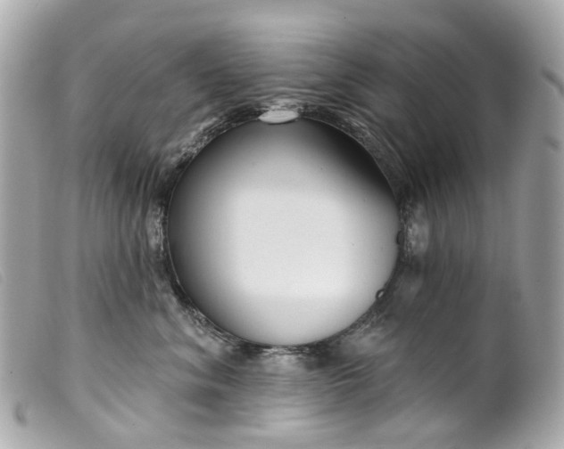 X0000099540620200805301501