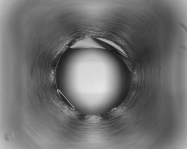 X0000099540621200805301501