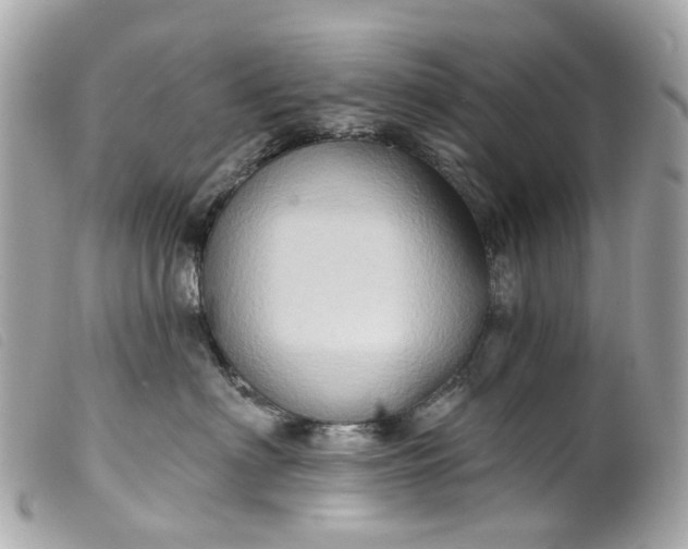 X0000099540622200805301501