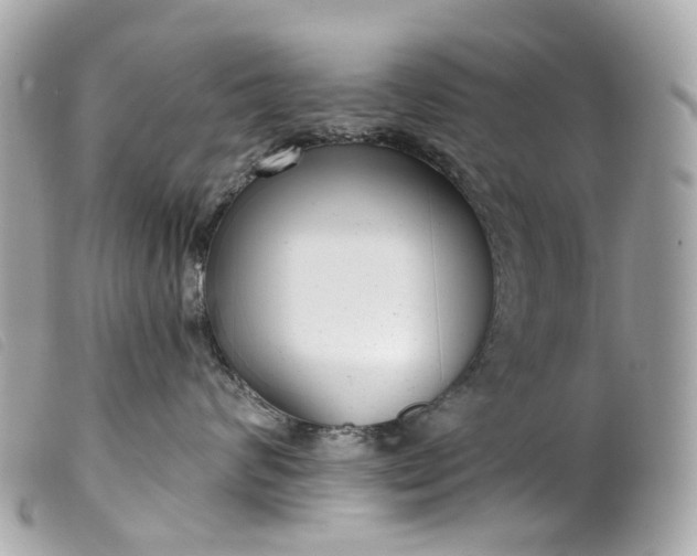 X0000099540624200805301501