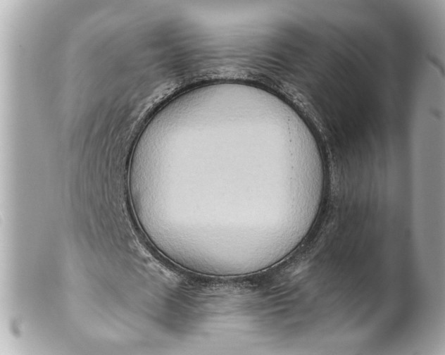 X0000099540625200805301501