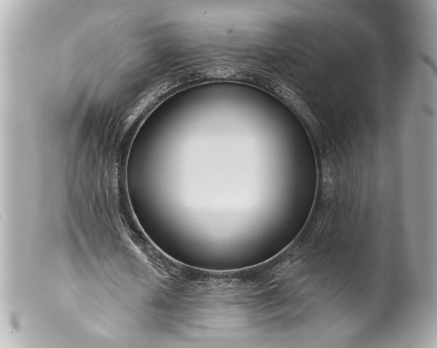 X0000099540626200805301501