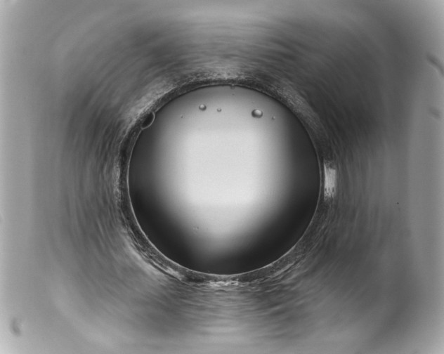 X0000099540627200805301501