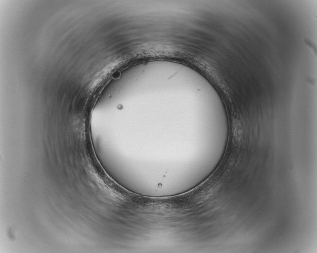 X0000099540629200805301501