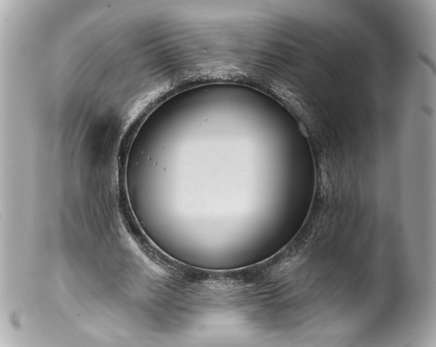 X0000099540630200805301501