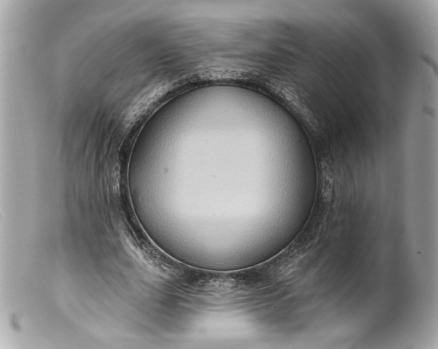 X0000099540631200805301501