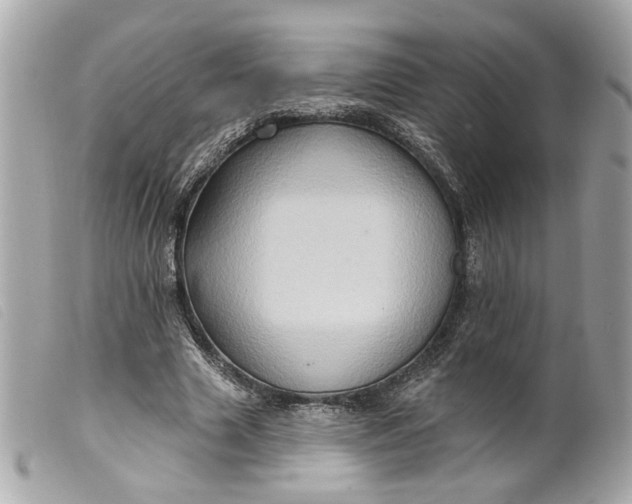 X0000099540633200805301501