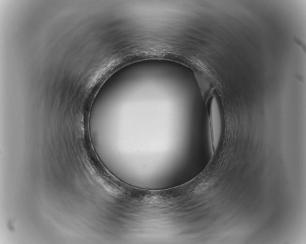 X0000099540634200805301501