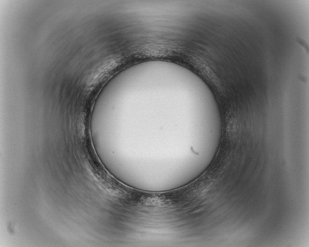 X0000099540635200805301501