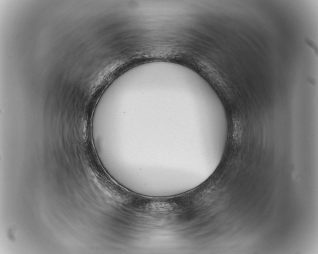 X0000099540636200805301501