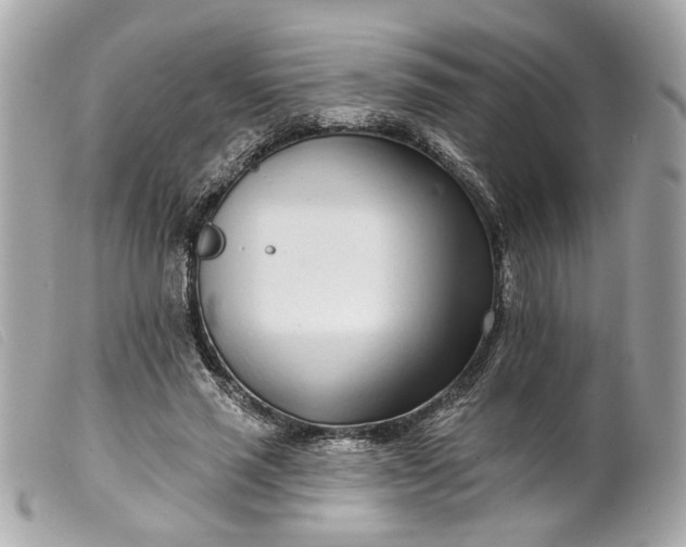 X0000099540637200805301501