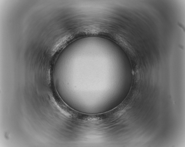 X0000099540638200805301501