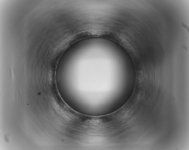 X0000099540639200805301501