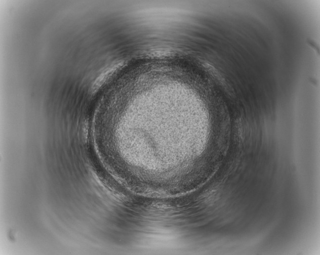 X0000099540640200805301501