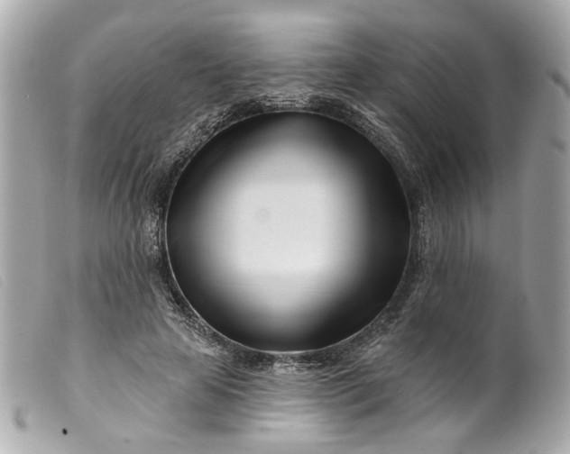 X0000099540641200805301501