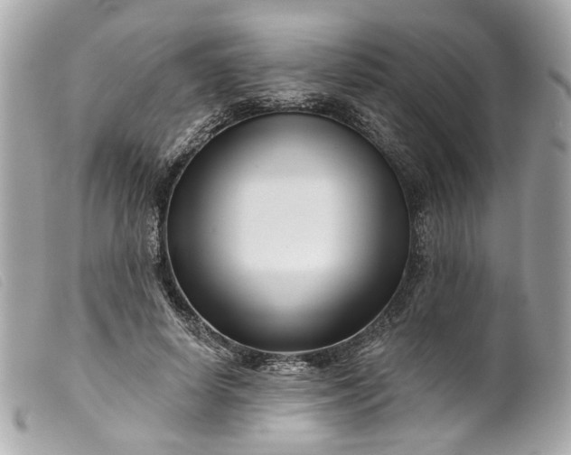 X0000099540642200805301501