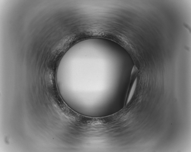 X0000099540643200805301501