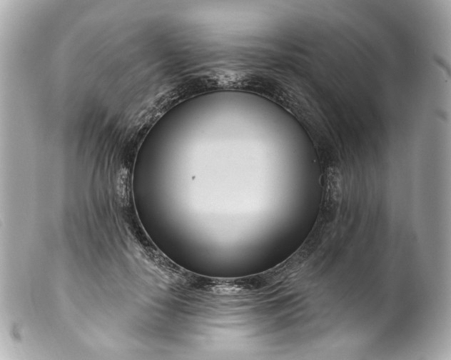 X0000099540650200805301501