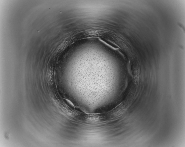 X0000099540653200805301501