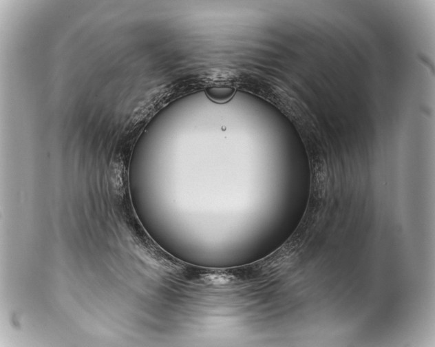 X0000099540654200805301501