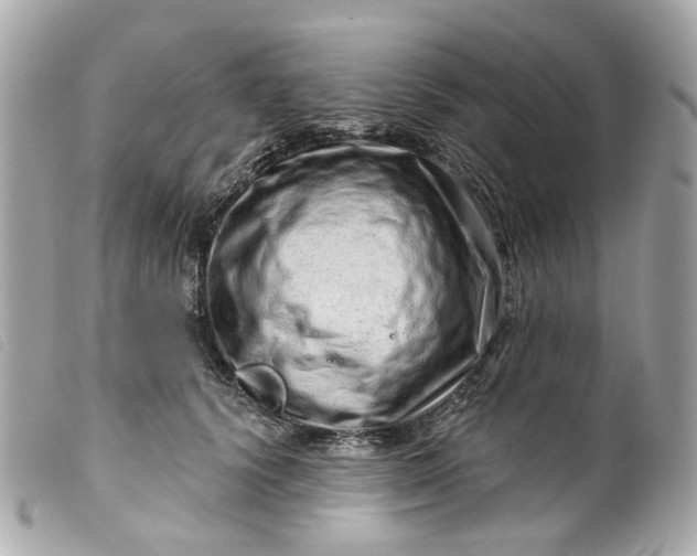 X0000099540656200805301501