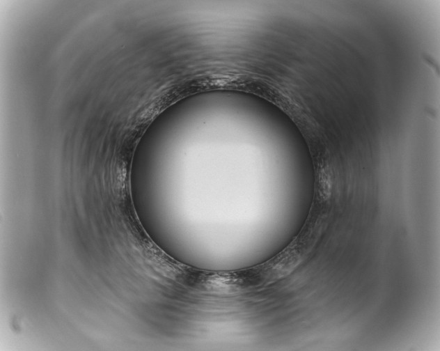 X0000099540657200805301501