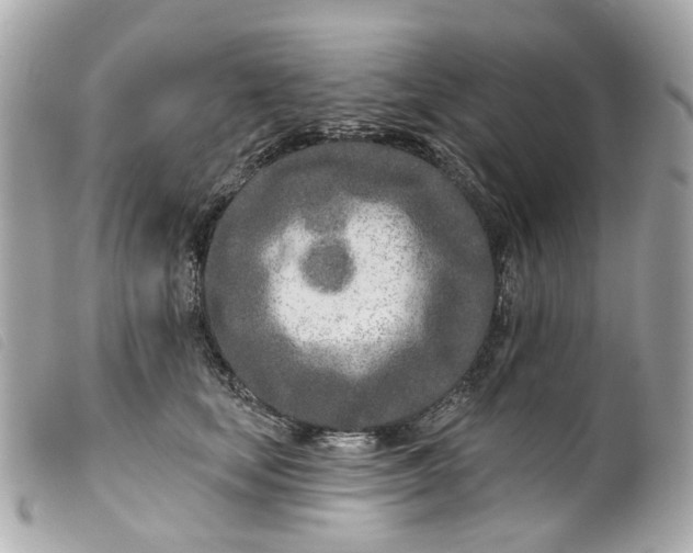 X0000099540659200805301501