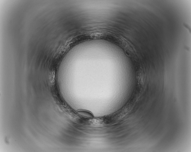 X0000099540660200805301501