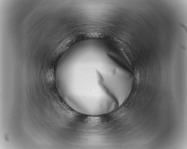 X0000099540665200805301501