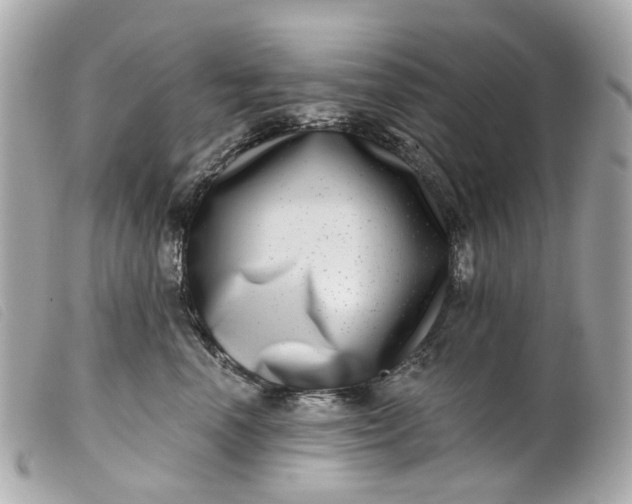 X0000099540666200805301501