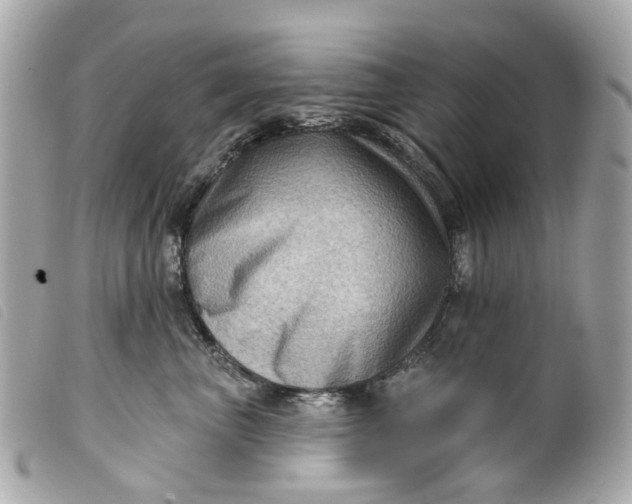 X0000099540667200805301501