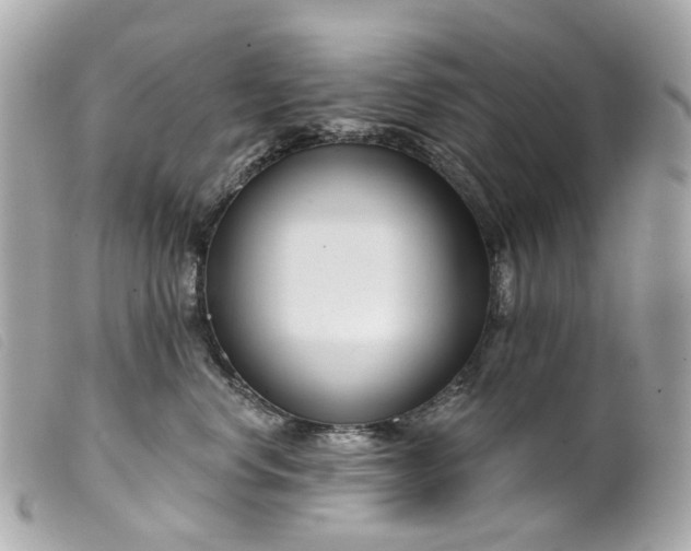 X0000099540668200805301501