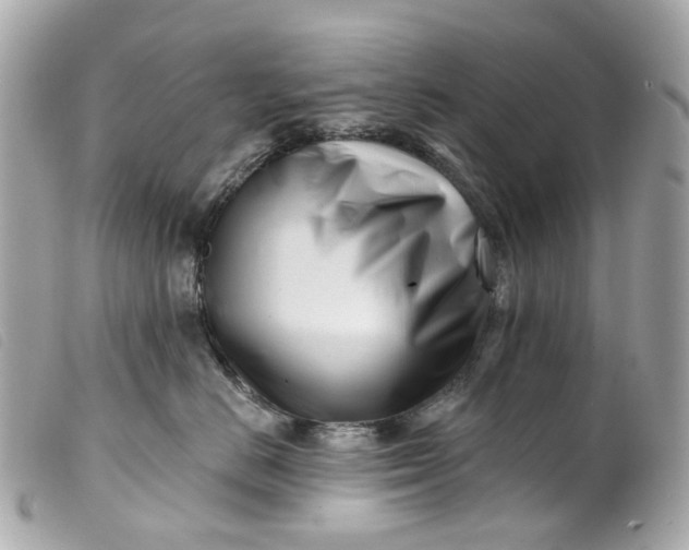 X0000099540670200805301501