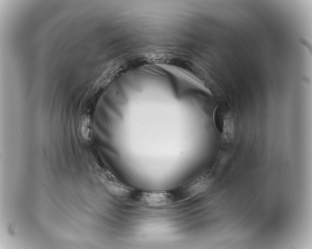 X0000099540671200805301501