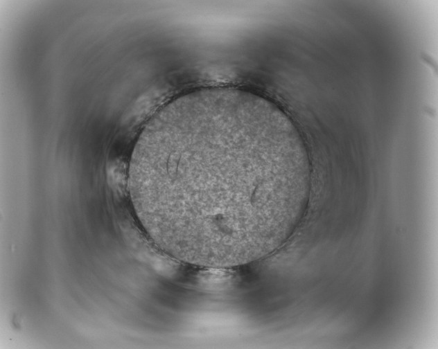 X0000099540672200805301501