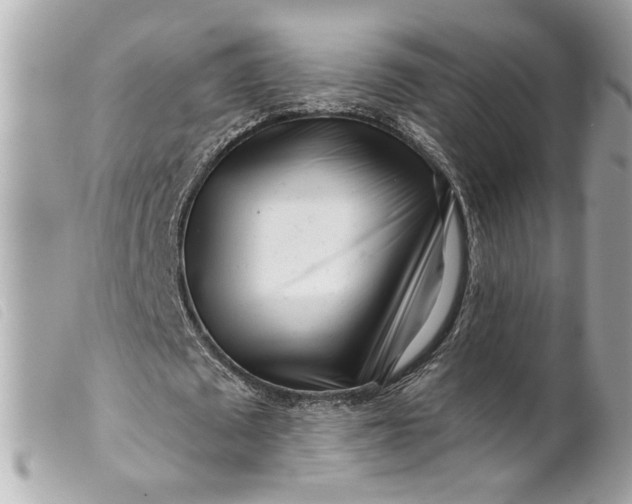 X0000099540673200805301501