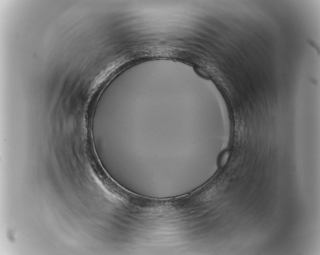 X0000099540674200805301501