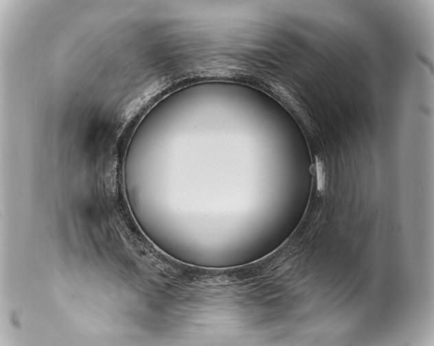 X0000099540675200805301501