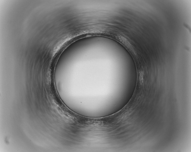 X0000099540676200805301501