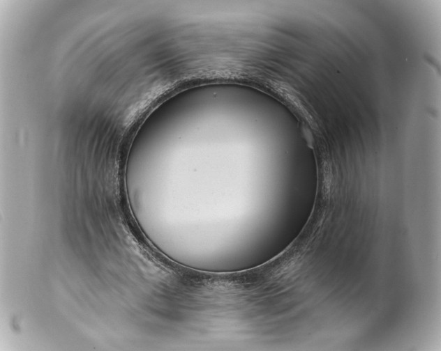 X0000099540677200805301501