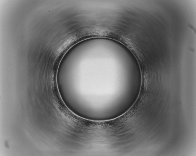 X0000099540679200805301501