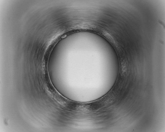 X0000099540680200805301501