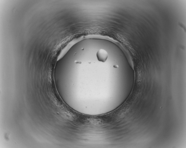 X0000099540681200805301501