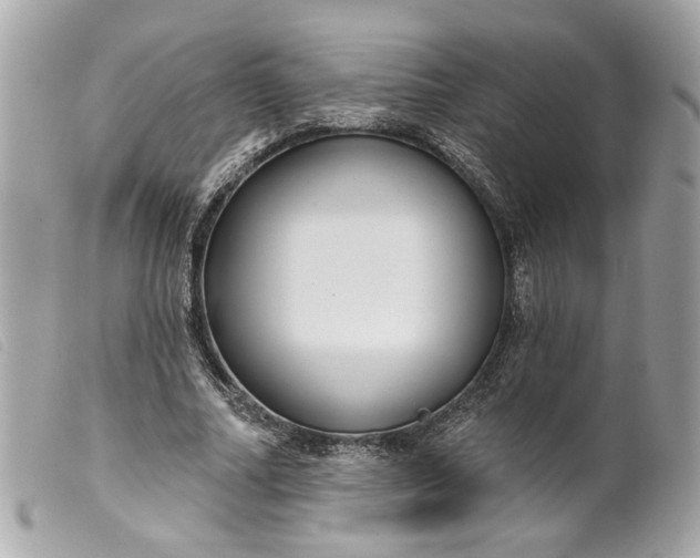 X0000099540682200805301501